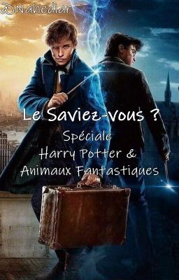 Le Saviez-Vous ? Spéciale Harry Potter & Animaux Fantastiques