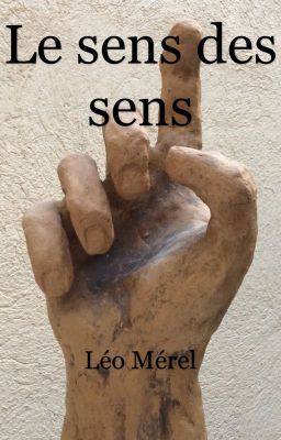 Le sens des sens