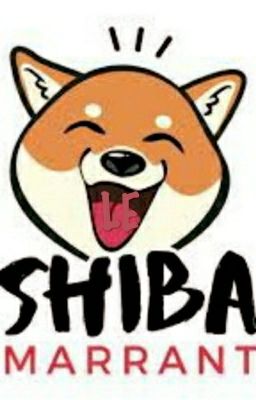 LE SHIBA MARRANT