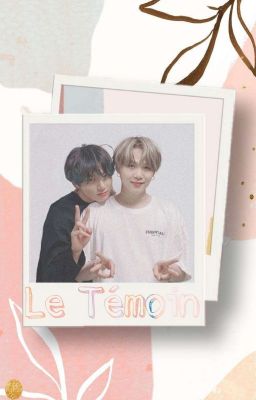 Le Témoin [YoonKook]