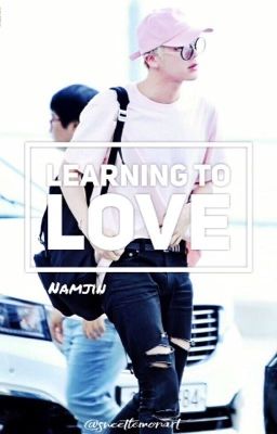 Learning to Love // Namjin (abgebrochen)