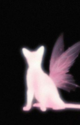 [leechoi] tin đồn.