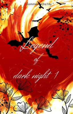 Legend of dark night 1