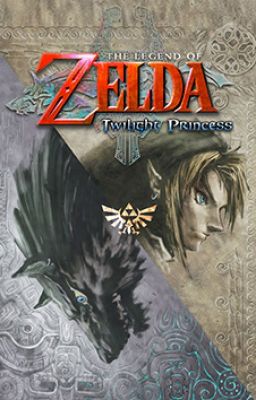 Legend of Zelda twilight princess Midna x male reader