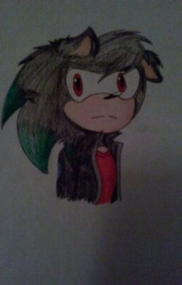 Leon the hedgehog