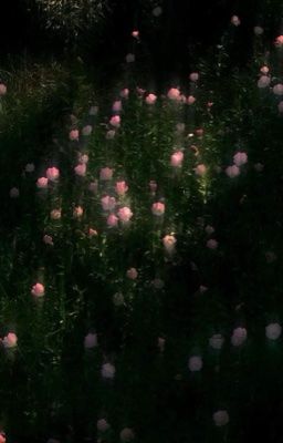 leowon | giữa im lặng, có một tình yêu 