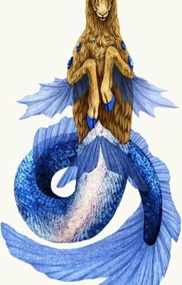 Les 12 ZODIAQUAMAS