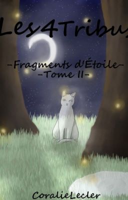 Les 4 Tribus - Tome II - Fragments d'Etoile - Fiction La Guerre des Clans