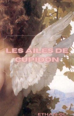 les ailes de cupidon