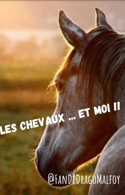 Les chevaux ... et moi !!♡