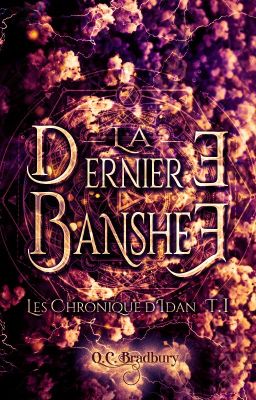 Les Chroniques d'Idan (tome 1) : La Dernière Banshee