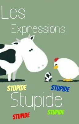 Les Expressions (Stupide)