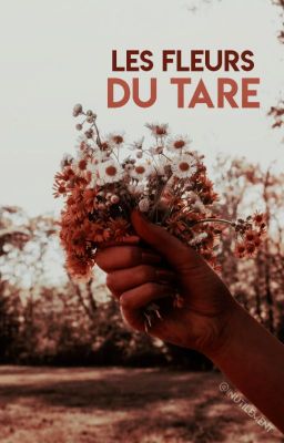 Les Fleurs Du Tare