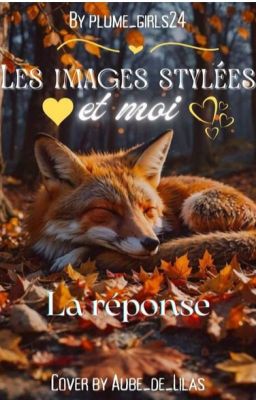 Les images stylés et moi