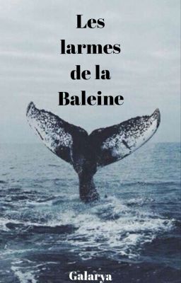 Les larmes de la baleine