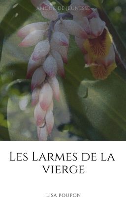 Les Larmes de la Vierge [TERMINÉE]