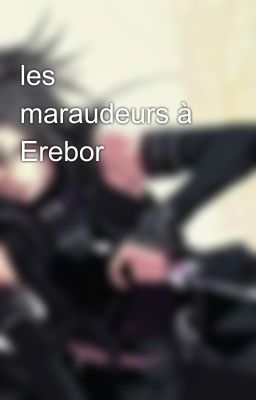 les maraudeurs à Erebor