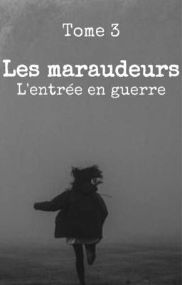 Les maraudeurs : l'entrée en guerre