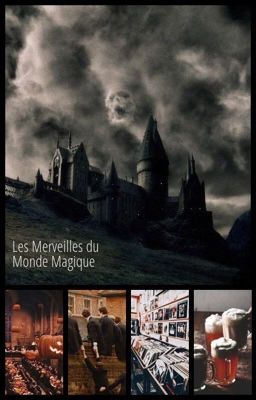 Les Merveilles du Monde Magique [OS Harry Potter]