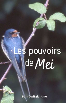 Les pouvoirs de Mei