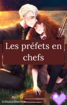 Les préfets en chefs