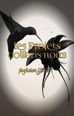 Les Projets colibris noirs