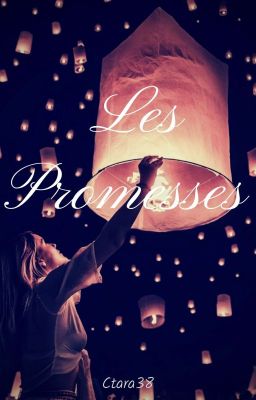 ✔ Les Promesses | Niall Horan