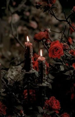 Let Down / Katsuki Bakugo