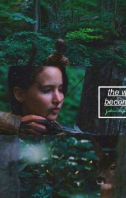 Letters to Katniss