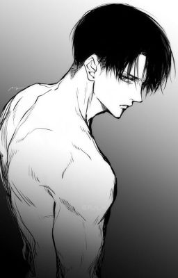 Levi Ackerman x reader (Oneshot)