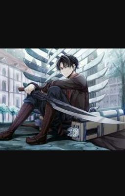Levi × Reader Das Verschwunde wunder Mädchen