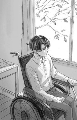 Levi's Diary