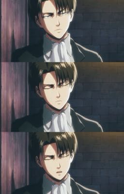 [ Levi ] Từ ngày gặp em 