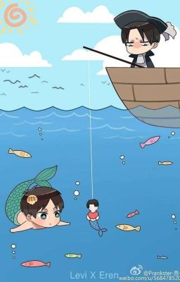 [ Levi x Eren ] những mẫu chuyện ngắn của Riren