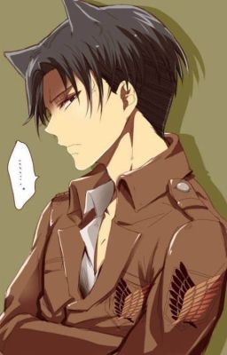 Levi x Neko Reader