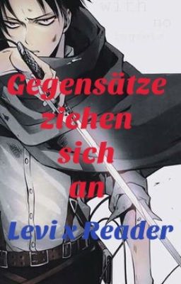 Levi x Reader