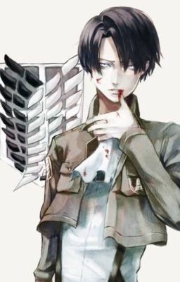     Levi x reader <3