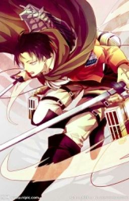 Levi X Reader