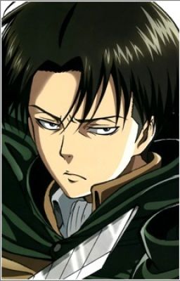 Levi X Reader AOT HUN {Átírás alatt}