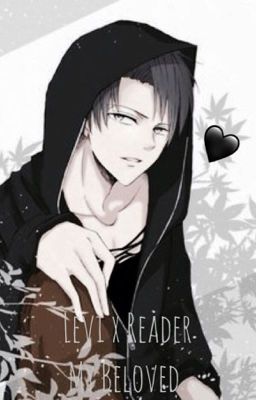 Levi x Reader: My Beloved 