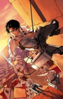 Levi X Reader One-shot