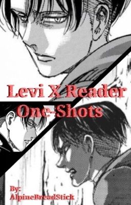 Levi x Reader (ONE-SHOTS)