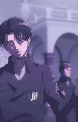 Levi x Reader Oneshots