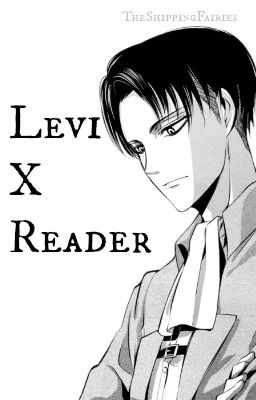 Levi x Reader Oneshots