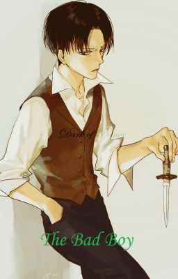 {LeviHan} The Bad Boy