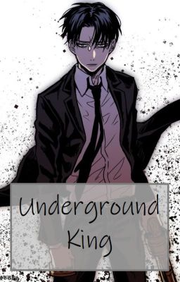 {LeviHan} Underground King