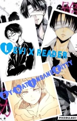 Levixreader
