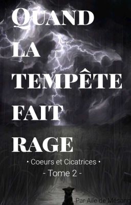 LGDC • Cœurs et Cicatrices• Tome 2• Quand la tempête fait rage •