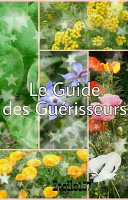 ☆ LGDC- Le Guide des Guérisseurs ☆