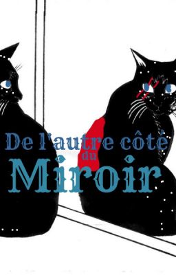 [LGDC] Tragédies ~ Cycle 1 ~ Tome 5 ○ De l'autre côté du miroir ○